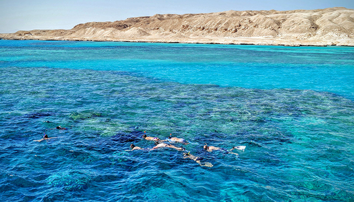 Adventure Snorkeling Tour To Ras Mohamed By Bus