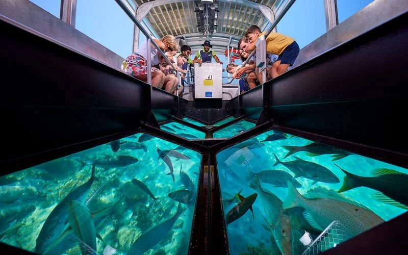 Glass Bottom Boat Cruise And Coral Reef Viewing